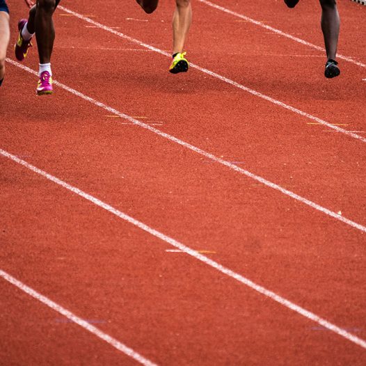 Physical training and sport 1