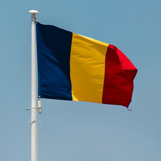 Communication in business (Romanian language)